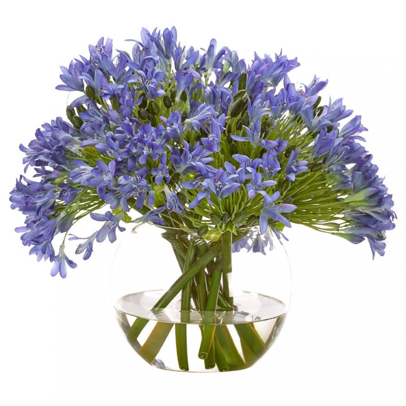  Букет цветов в вазе: синий Агапантус, NDI (Америка) 