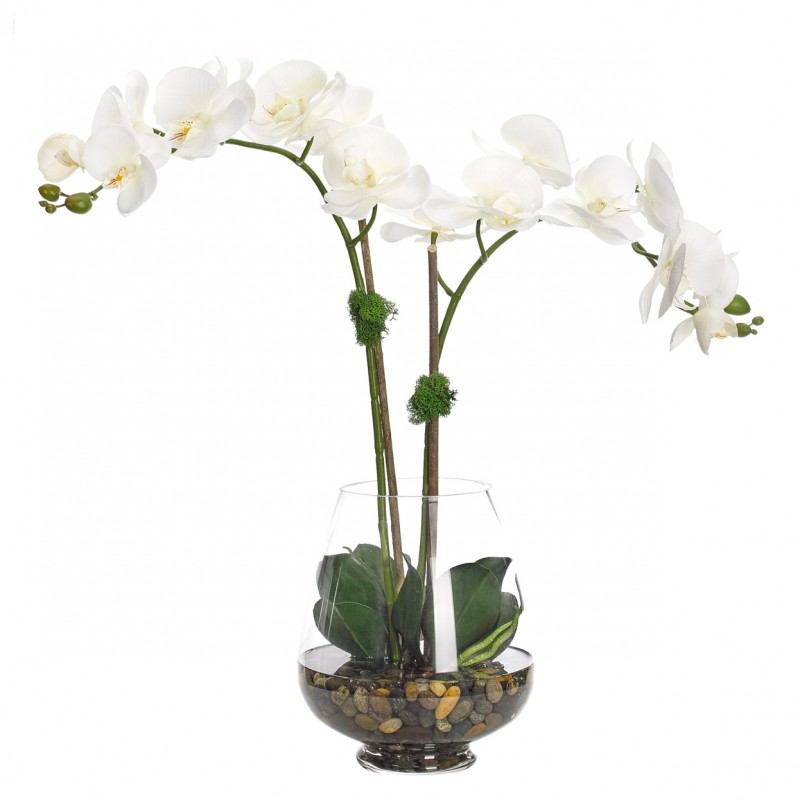  Букет цветов в вазе: белая орхидея, NDI (Америка) 